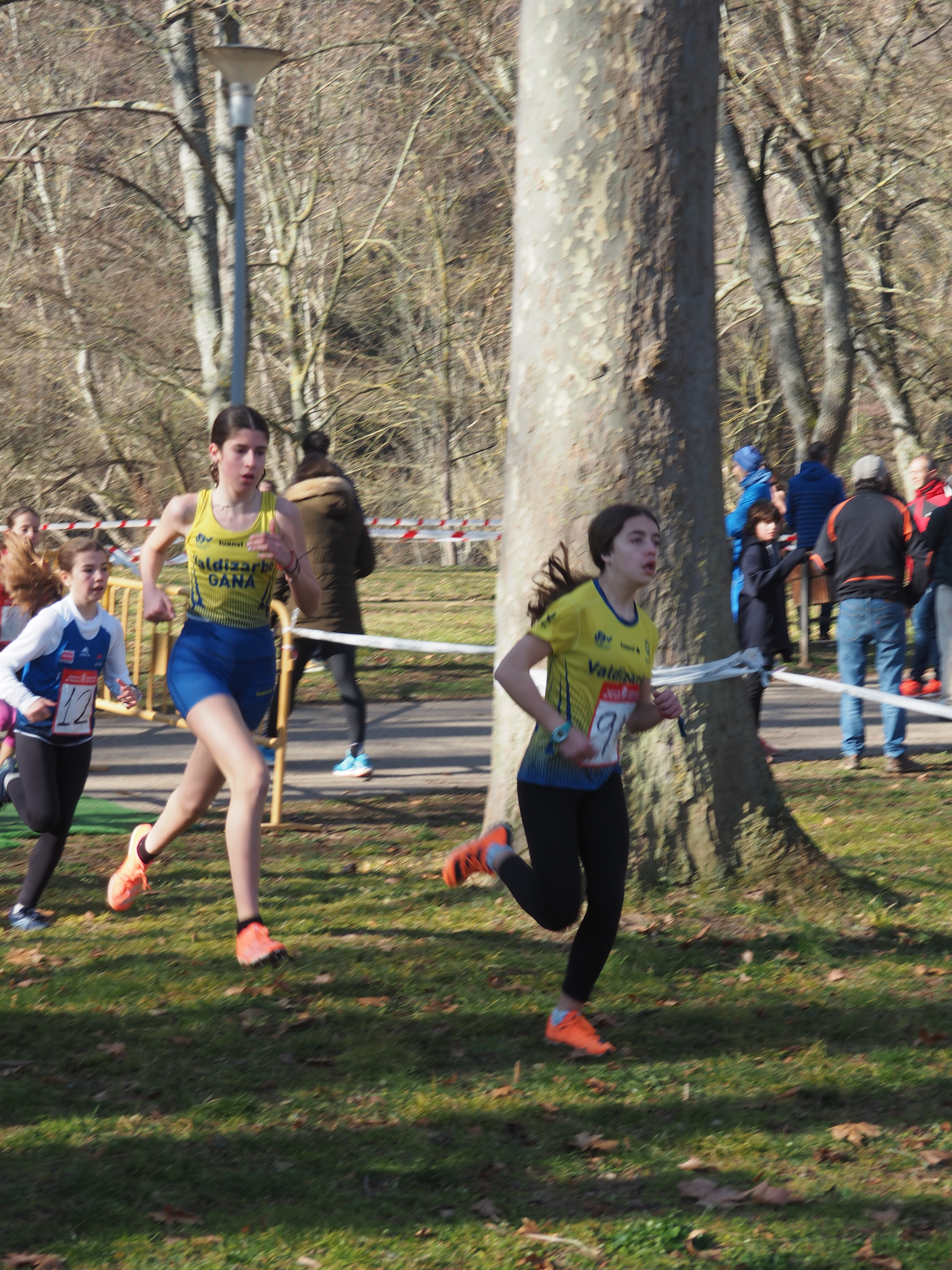 Final de Cross por equipos de JDN-Estella